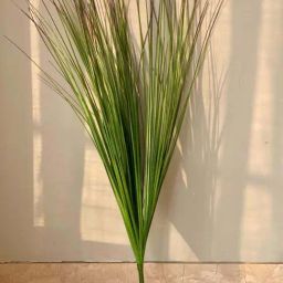 Mason Home Green Pvc Tall Plants-image-53