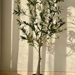 Mason Home Green Pvc Tall Plants-image-54