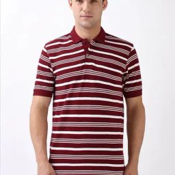 Peter England maroon Stripes T-shirts-picture-27