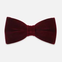 Peter England Maroon Solid Bow Tie-picture-24