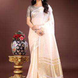 Astita Zari Ready to Wear Saree-image-99