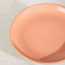 Freedom Tree Solid Multi-Color Ceramic Dinner Plate image 2