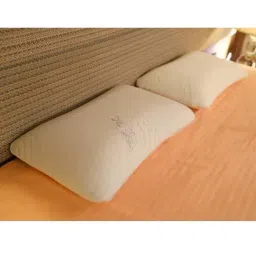 The White Willow White Stitched Memory Foam Pillow with Cover - Set of 1-6