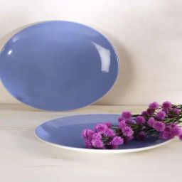 Elae Handcrafted Ceramic Dinner Plate - Set Of 2-6