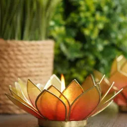 Pure Home and Living Pink & Yellow Mother of Pearl 21 Petals Capiz Tea Light Holder-image-54