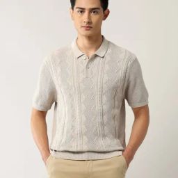 Arrow New York Beige Cotton Regular Fit Texture Polo T-Shirt-picture-36
