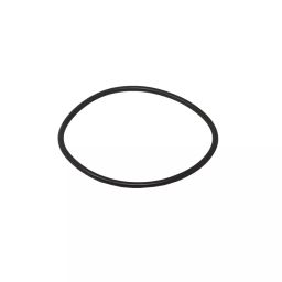CHEVROLET J90092679, SEAL CLU ACTR CYL O RING for SAIL-image-1