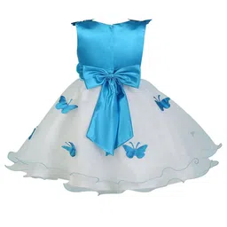 Wish little Net A-Line Dress-1