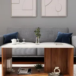 homeeasy CT-4 Modern Brown & White Geometric Design Wooden Durable CoffeeTable-16