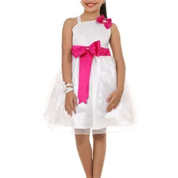 Wow Princess Net A-Line Dress-image-98