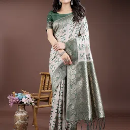 Astita Ethnic Motifs Woven Design Zari Saree-34