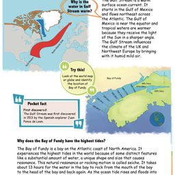 om books international Encyclopedia Amazing Questions & Answers Seas & Oceans - English image 5