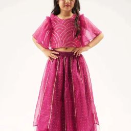 Lil Drama Kids Wine Cotton Embroidered Ghagra Cholis-image-51