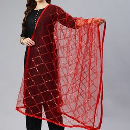 swatika Checked Net Dupatta with Sequinned image 3
