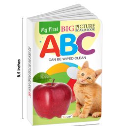gowoo My First Big Picture Board Book ABC, Numbers 1-100 and Birds : Educational books for toddlers, Kids learning picture books, Board books for early learners | Set of 3 board books image 2