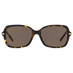 Pierre Cardin Brown Square Sunglasses for Women-image-33
