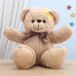 Funzoo Angel Flower Applique Teddy Bear Height 26 cm (Design & Print May Vary)-image-39