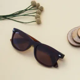 Ted Smith SAILER_C3 Brown Wayfarer-picture-46