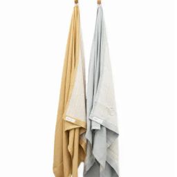 Doctor Towels Grey Aloe Vera Viscose  Towel Set -Pack of 2-2