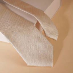 Allen Solly Beige Embroidered Tie-96