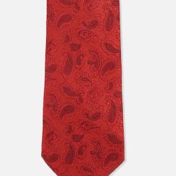 Van Heusen Red Embroidered Tie-picture-34