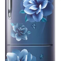 183 L Direct Cool Single Door 4 Star Refrigeratorwith Digital Inverter-image-24