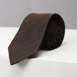 Peter England Black Embroidered Tie-image-84