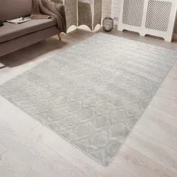 Saral Home Viva Matar Grey Microfibre Carpet - Set of 1-image-19