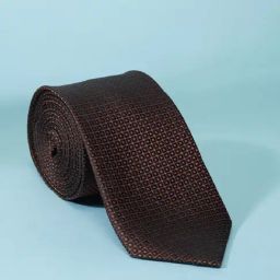 Peter England Brown Embroidered Tie-picture-26