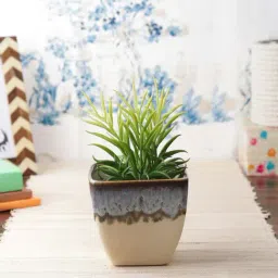 VarEesha Cream & Sky Blue Ceramic Planter Pot - Set of 2-27