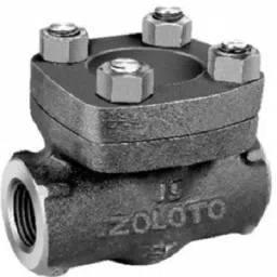 Zoloto 40 mm Full Bore Check Valve 1076 A-picture-3