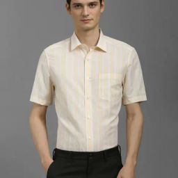 Louis Philippe Beige Cotton Regular fit Stripes Shirt-picture-7