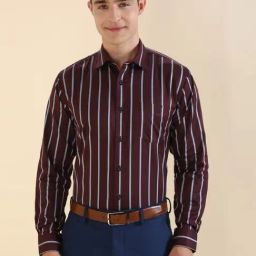 Allen Solly Maroon Cotton Slim Fit Striped Shirt-image-84