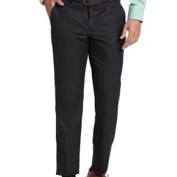 Park Avenue Black Regular Fit Checks Trousers-image-81