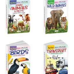 My First Big Picture Board Book Farm Animals & Pets, Wild Animals, Birds and Transport : Board books for early learners, Learning books for kids, Preschool picture books | Set of 4 board book-9