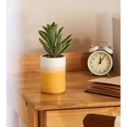 Chumbak Yellow & White Ceramic Planter - Set of 1-image-49