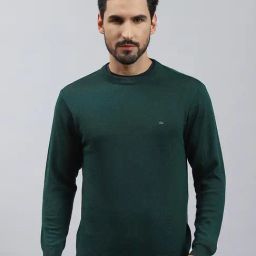 Monte Carlo Green Pure Wool Regular Fit Solid Pullover-46