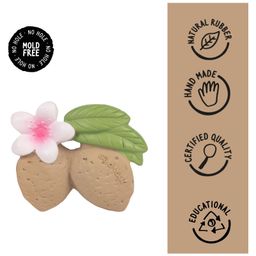 Oli & Carol Aly The Almond Natural Rubber Teether-picture-2
