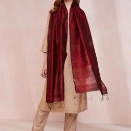 Fabindia Maroon Plain Dupatta-image-71