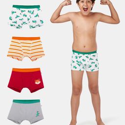 Plan B Pack Of 4 Striped & Animals Printed Boxers - Multi Colour-image-20