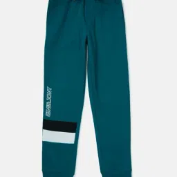 Gini & Jony Kids Green Printed Joggers-image-40