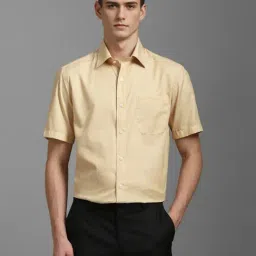 Louis Philippe Beige Cotton Regular Fit Shirt-picture-34