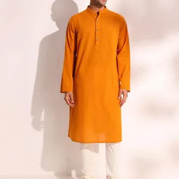Fabindia Striped Band Collar Cotton Straight Kurta-image-40