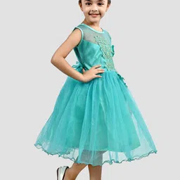 BAESD Embellished Net Fit & Flare Midi Dress image 4