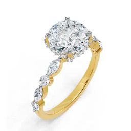 Emori 14k Yellow Gold & Diamond Halo Round Brilliant Ring-image-25
