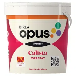 Birla Opus Calista Ever Stay 20 L Pastel Emulsion Paint For Interior Walls, 942001-picture-13