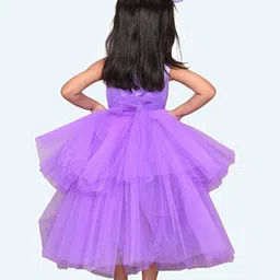 Modish Net Fit & Flare Dress image 4