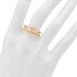 ALDO Set Of 2 Stainless Steel Gold-Plated Finger Ring-image-38