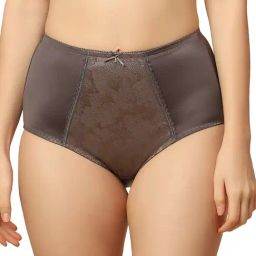 Triumph Stone Grey Lace Work Panty-image-33