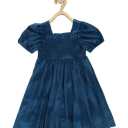 Peter England Kids Navy Solid Dress-picture-10